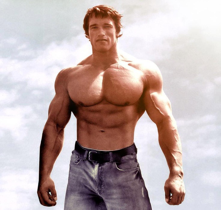 Arnold Schwarzenegger wallpapers.