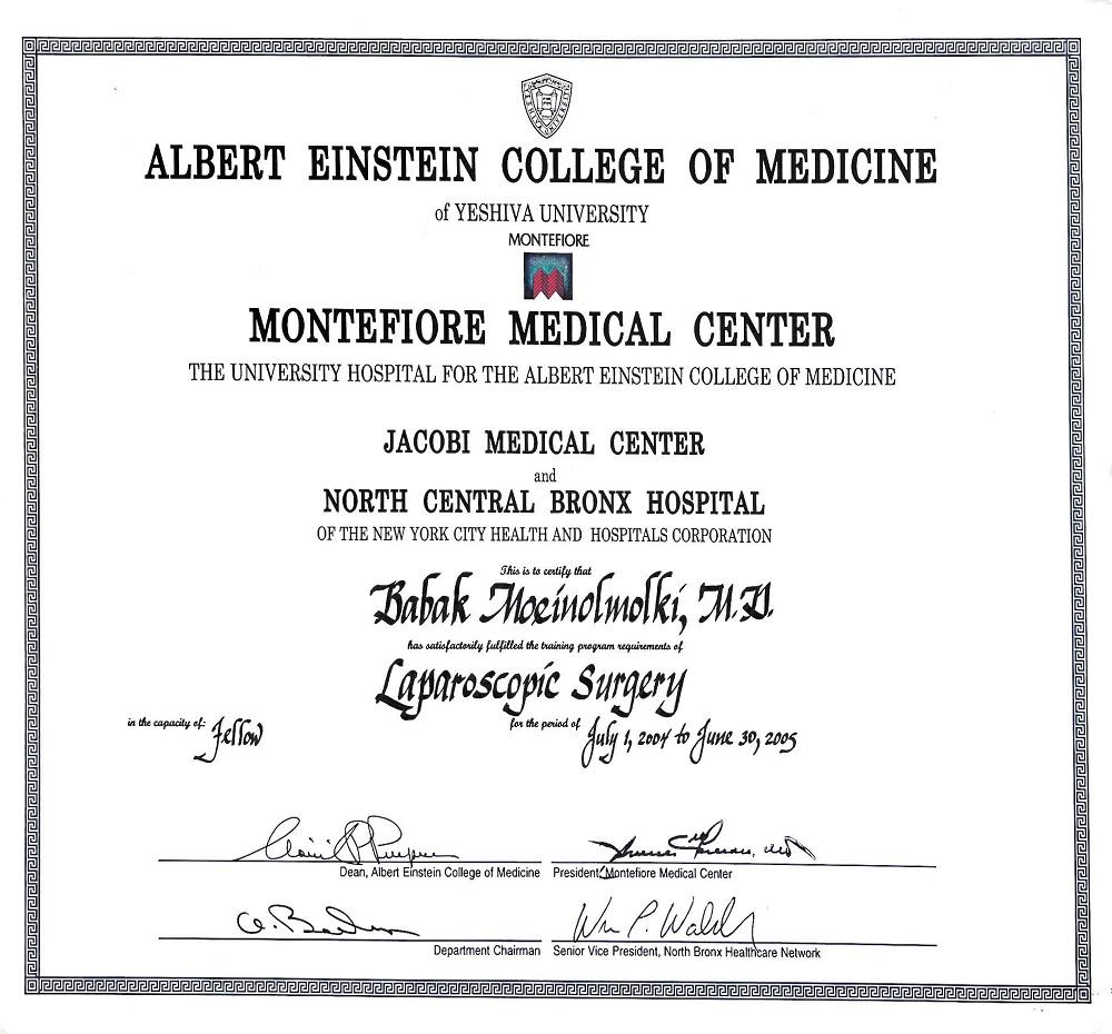 Albert Einstein College of Medicine