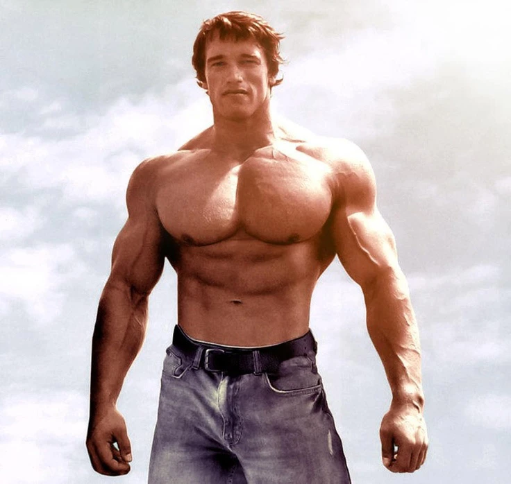 Celebrities With Gynecomastia- Arnold